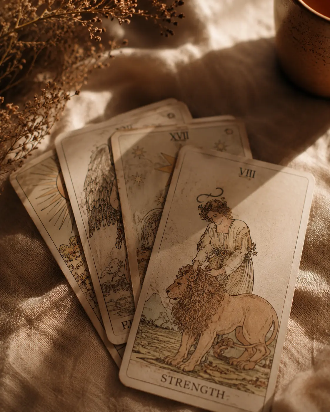 Tarot cards fanned on a linen surface